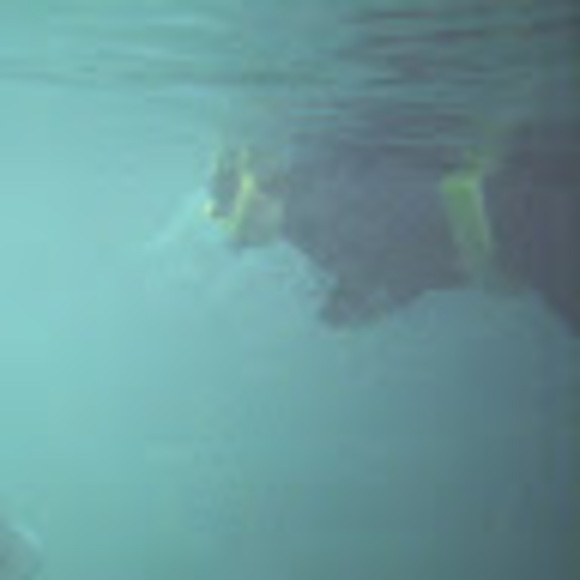 Meet your Posher, Talya - Picture 1 of 1